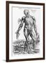 Anatomical Study, Illustration from "De Humani Corporis Fabrica", 1543-Andreas Vesalius-Framed Giclee Print