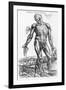 Anatomical Study, Illustration from "De Humani Corporis Fabrica", 1543-Andreas Vesalius-Framed Giclee Print