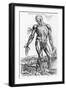 Anatomical Study, Illustration from "De Humani Corporis Fabrica", 1543-Andreas Vesalius-Framed Premium Giclee Print