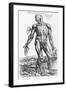 Anatomical Study, Illustration from "De Humani Corporis Fabrica", 1543-Andreas Vesalius-Framed Giclee Print