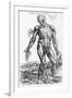 Anatomical Study, Illustration from "De Humani Corporis Fabrica", 1543-Andreas Vesalius-Framed Premium Giclee Print