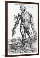 Anatomical Study, Illustration from "De Humani Corporis Fabrica", 1543-Andreas Vesalius-Framed Giclee Print