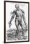 Anatomical Study, Illustration from "De Humani Corporis Fabrica", 1543-Andreas Vesalius-Framed Giclee Print