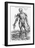 Anatomical Study, Illustration from "De Humani Corporis Fabrica", 1543-Andreas Vesalius-Framed Giclee Print