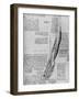 'Anatomical Study of Muscles of Foot', 1928-Leonardo Da Vinci-Framed Giclee Print