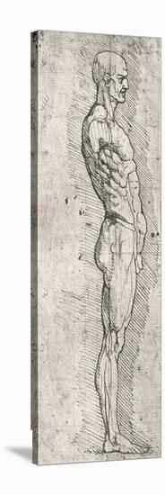 Anatomical Study-Leonardo da Vinci-Stretched Canvas