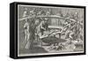 Anatomical Theatre 6-null-Framed Stretched Canvas