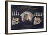 Anatomical Wallchart of the Teeth-null-Framed Giclee Print