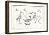 Anatomy, 1863-79-Raimundo Petraroja-Framed Giclee Print