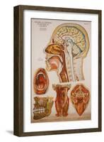 Anatomy Charts-null-Framed Giclee Print