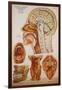 Anatomy Charts-null-Framed Giclee Print