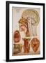 Anatomy Charts-null-Framed Giclee Print