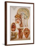 Anatomy Charts-null-Framed Giclee Print