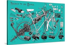 Anatomy of a Bicycle-James Bentley-Stretched Canvas