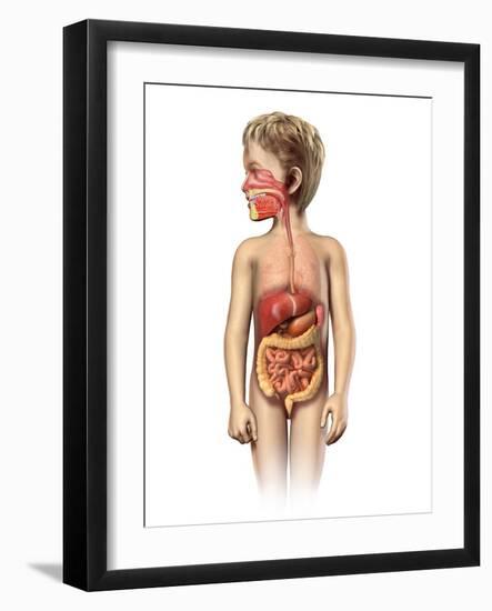 Anatomy of a Child's Full Digestive System-null-Framed Art Print