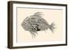 Anatomy of a Fish. Robot Spiked Fish.-RYGER-Framed Art Print