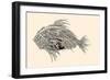 Anatomy of a Fish. Robot Spiked Fish.-RYGER-Framed Art Print