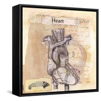 Anatomy Of A Heart I-Jan Weiss-Framed Stretched Canvas