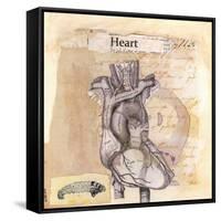 Anatomy Of A Heart I-Jan Weiss-Framed Stretched Canvas