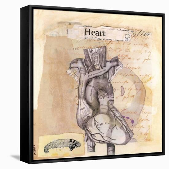 Anatomy Of A Heart I-Jan Weiss-Framed Stretched Canvas