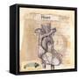 Anatomy Of A Heart I-Jan Weiss-Framed Stretched Canvas