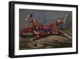 Anatomy of a Horse, from 'Cours D'Hippiatrique Ou Traite Complet De La Medecine Des Chevaux'-Harguinier-Framed Giclee Print