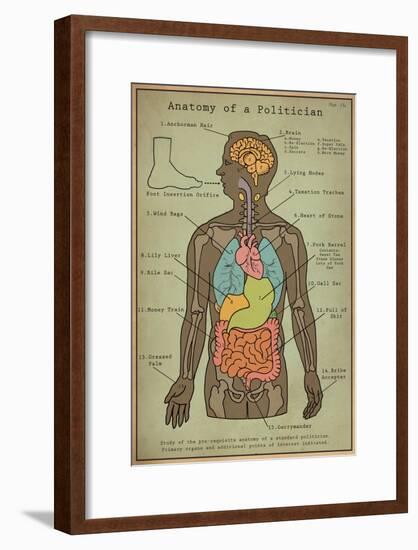 Anatomy Of A Politician-null-Framed Poster
