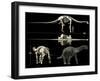 Anatomy of a Titanosaur-Stocktrek Images-Framed Premium Photographic Print