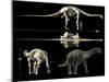 Anatomy of a Titanosaur-Stocktrek Images-Mounted Premium Photographic Print