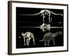 Anatomy of a Titanosaur-Stocktrek Images-Framed Photographic Print