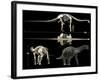 Anatomy of a Titanosaur-Stocktrek Images-Framed Photographic Print