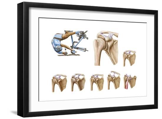 Art Print, , large