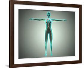 Anatomy of Female Body with Arteries and Veins-null-Framed Art Print