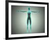 Anatomy of Female Body with Arteries and Veins-null-Framed Art Print