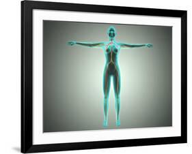 Anatomy of Female Body with Arteries and Veins-null-Framed Art Print