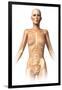 Anatomy of Female Body with Bone Skeleton Superimposed-null-Framed Art Print