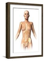 Anatomy of Female Body with Bone Skeleton Superimposed-null-Framed Art Print