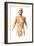 Anatomy of Female Body with Bone Skeleton Superimposed-null-Framed Art Print