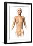 Anatomy of Female Body with Bone Skeleton Superimposed-null-Framed Art Print