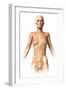 Anatomy of Female Body with Bone Skeleton Superimposed-null-Framed Art Print