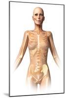 Anatomy of Female Body with Bone Skeleton Superimposed-null-Mounted Art Print