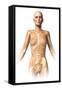 Anatomy of Female Body with Bone Skeleton Superimposed-null-Framed Stretched Canvas