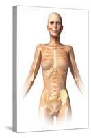 Anatomy of Female Body with Bone Skeleton Superimposed-null-Stretched Canvas