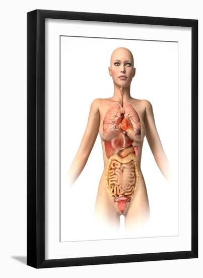 Anatomy of Female Body with Internal Organs Superimposed-null-Framed Art Print