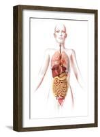 Anatomy of Female Body with Internal Organs-null-Framed Art Print