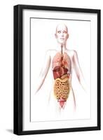 Anatomy of Female Body with Internal Organs-null-Framed Art Print