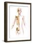 Anatomy of Female Body with Skeleton, Stylized Look-null-Framed Art Print