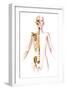 Anatomy of Female Body with Skeleton, Stylized Look-null-Framed Art Print