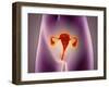 Anatomy of Female Body with Uterus-null-Framed Art Print