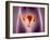 Anatomy of Female Body with Uterus-null-Framed Art Print